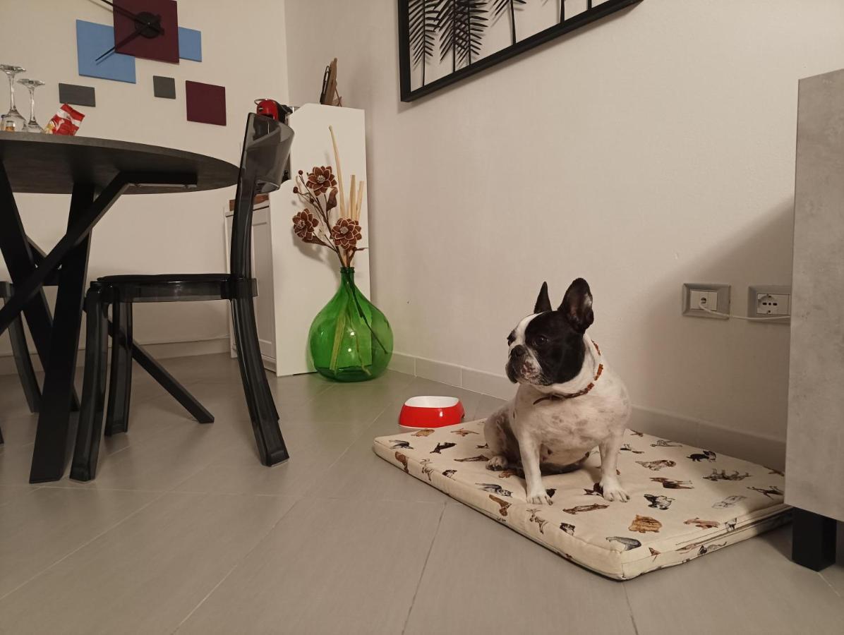 Apartament Civico22 Comacchio Zewnętrze zdjęcie